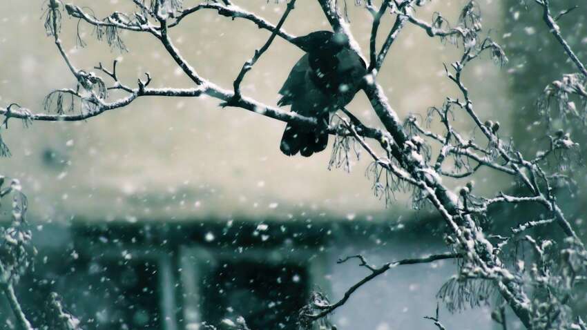 Какой церковный праздник 2 декабря: за кого обязательно нужно помолиться в этот день Какой церковный праздник 2 декабря: за кого обязательно нужно помолиться в этот день