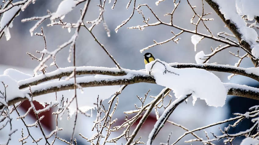 В Украине идет ощутимое похолодание: назвали точную дату