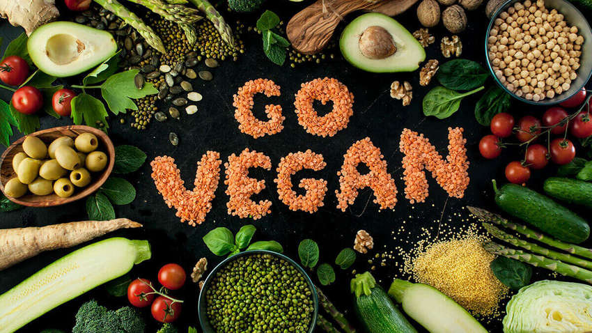 Веганство – один із головних трендів та «релігій» нового тисячоліття Веганство – один із головних трендів та «релігій» нового тисячоліття