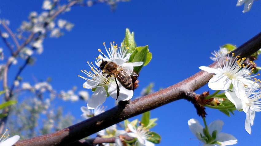 Народні приклади: що не можна робити 10 квітня? Народні приклади: що не можна робити 10 квітня?