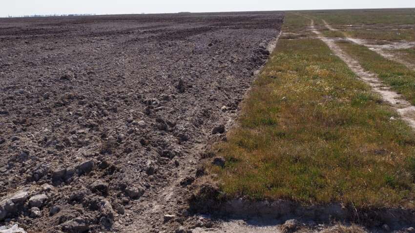 Украинскую степь стирают с карты: распашка аграриев ведет страну к катастрофе Украинскую степь стирают с карты: распашка аграриев ведет страну к катастрофе