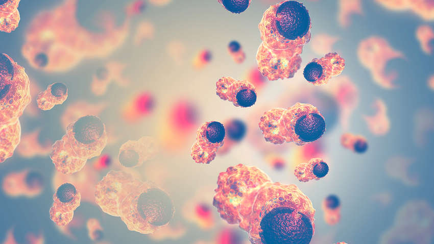 Ученые нашли способ очистить кровь от раковых клеток