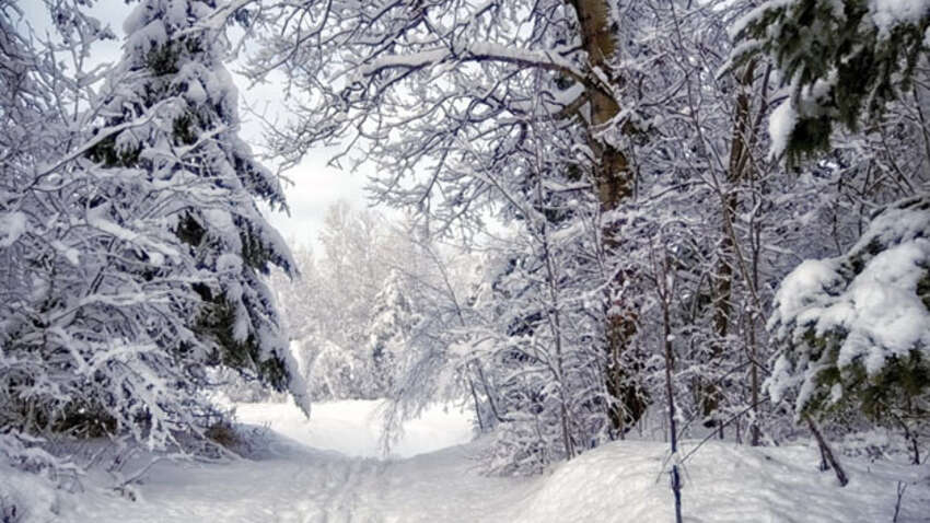 Церковный праздник 2 января: что сделать, чтобы наступивший год был удачным Церковный праздник 2 января: что сделать, чтобы наступивший год был удачным