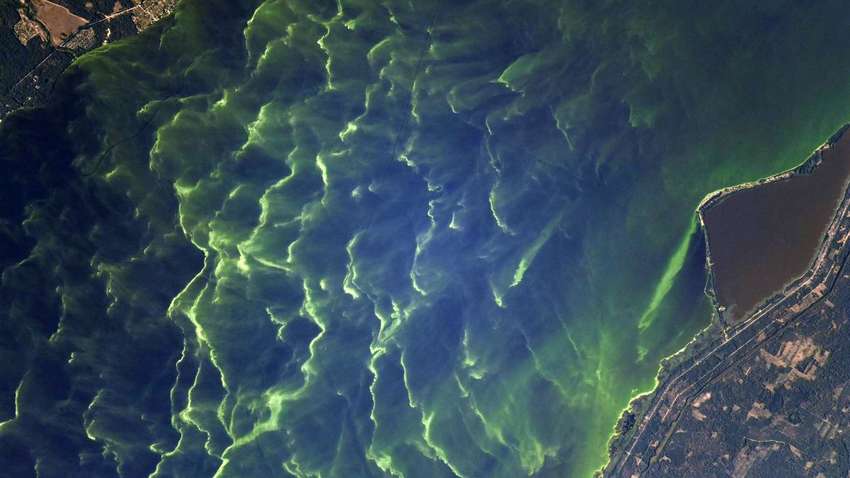 Астронавт ESA зробив чаруючі фото Києва та річки Дніпро з орбіти Землі (ФОТО)