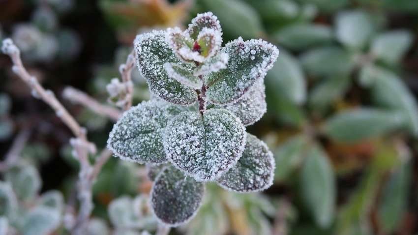 В "Укргидрометцентре" дали неутешительный прогноз погоды