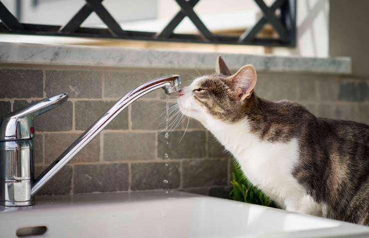 Тысячи одесситов останутся без воды: полный список адресов