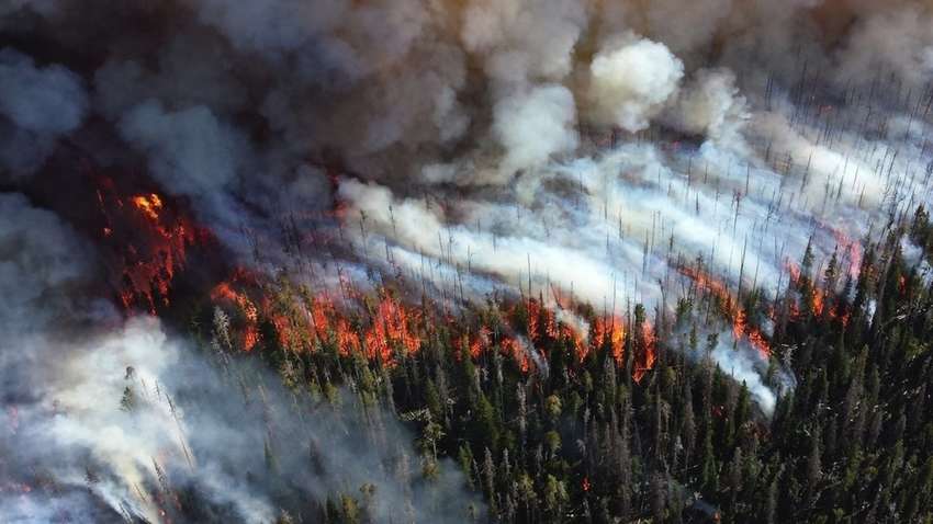 Пожежі в Росії вбивають Європу- вчені