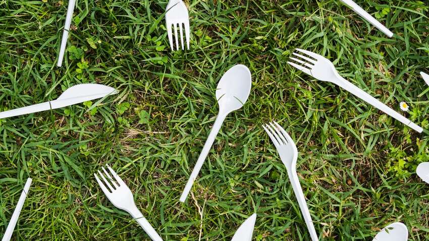 Гарний врожай стане можливим завдяки пластиковим виделкам: 4 корисні поради