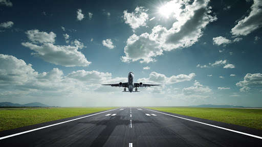 В Нью-Йорке из взлетающего самолета выпрыгнул пассажир с собакой В Нью-Йорке из взлетающего самолета выпрыгнул пассажир с собакой