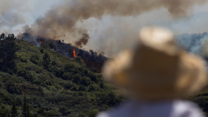 На Канарах оголосили найвищий рівень загрози пожеж