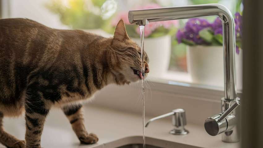 Тысячи одесситов останутся без воды: полный список адресов