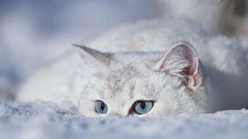 В Украину идет похолодание: синоптик назвала дату В Украину идет похолодание: синоптик назвала дату