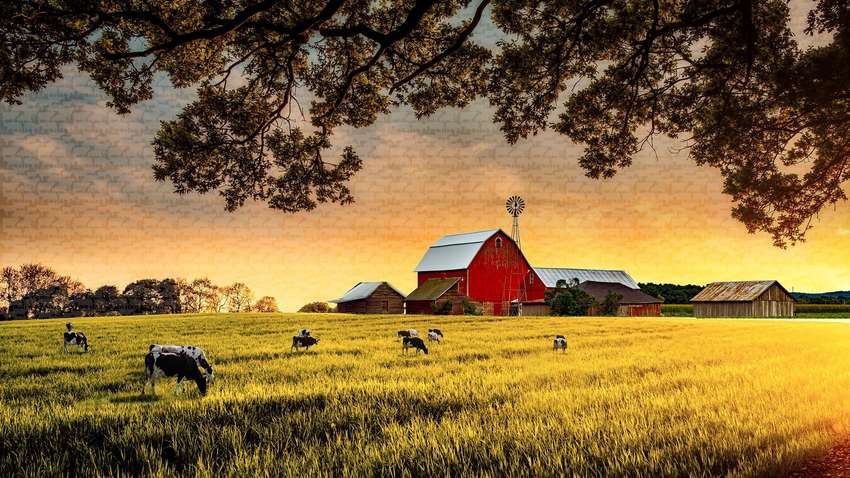 В Нидерландах нашли семью, которая 9 лет провела в подвале