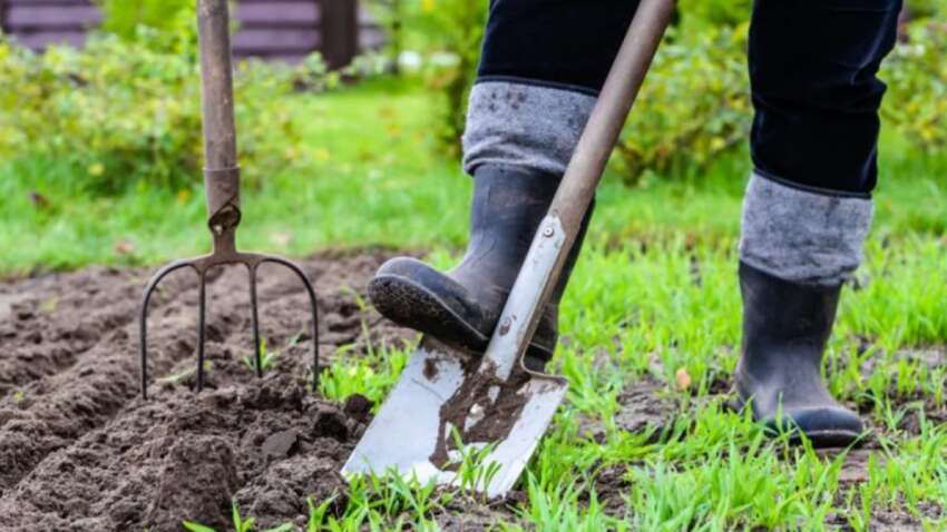 Не упустите эти дни: посевной календарь на апрель назвал лучшее время для урожая