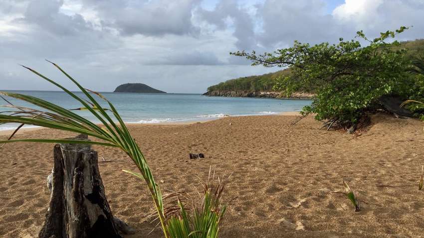 Индонезия отправит зараженных коронавирусом на необитаемый остров