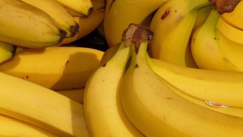 Банани довго не будуть чорніти: у чому секрет зберігання Банани довго не будуть чорніти: у чому секрет зберігання