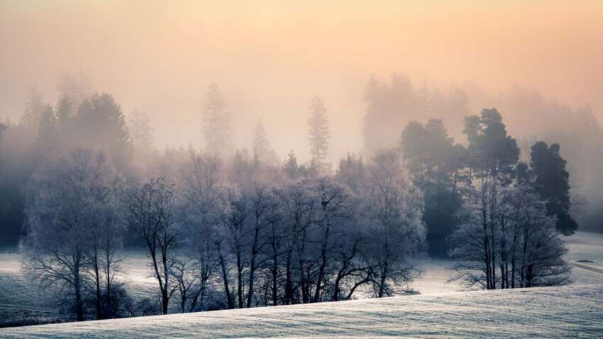 Яке церковне свято 28 січня: найважливіша прикмета дня