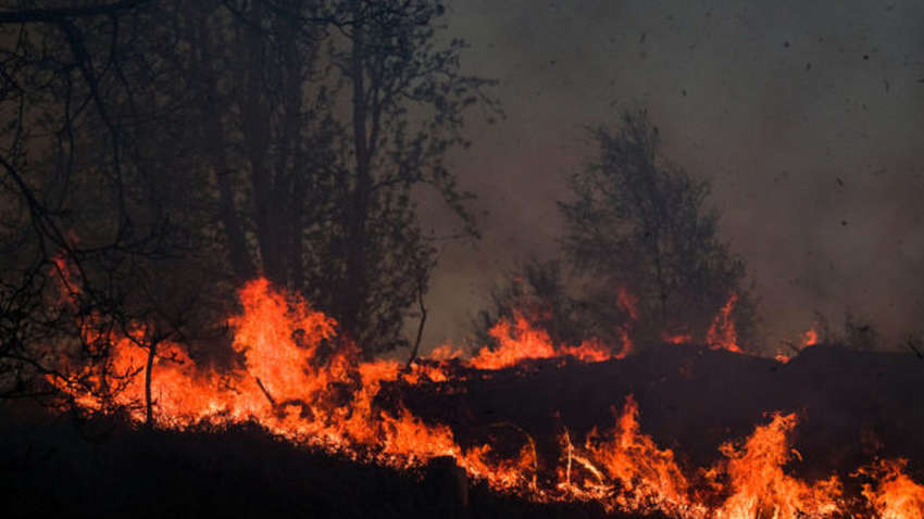 Пожар в Австралии: огонь уже охватил два штата