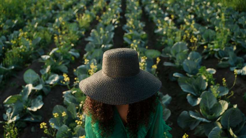 Расти капуста большая и сочная: как не допустить заражения и справиться с проблемой вредителей Расти капуста большая и сочная: как не допустить заражения и справиться с проблемой вредителей