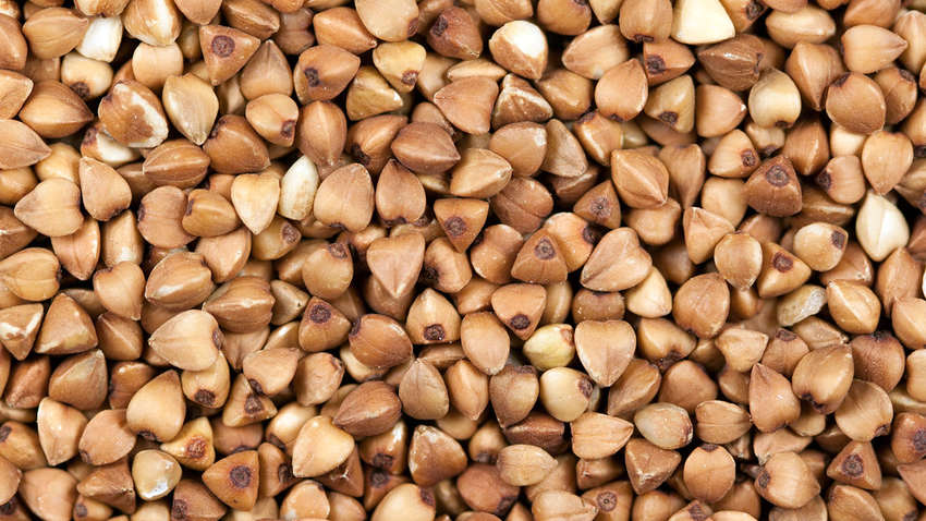 Медики сообщили о невероятных свойствах гречки Медики сообщили о невероятных свойствах гречки