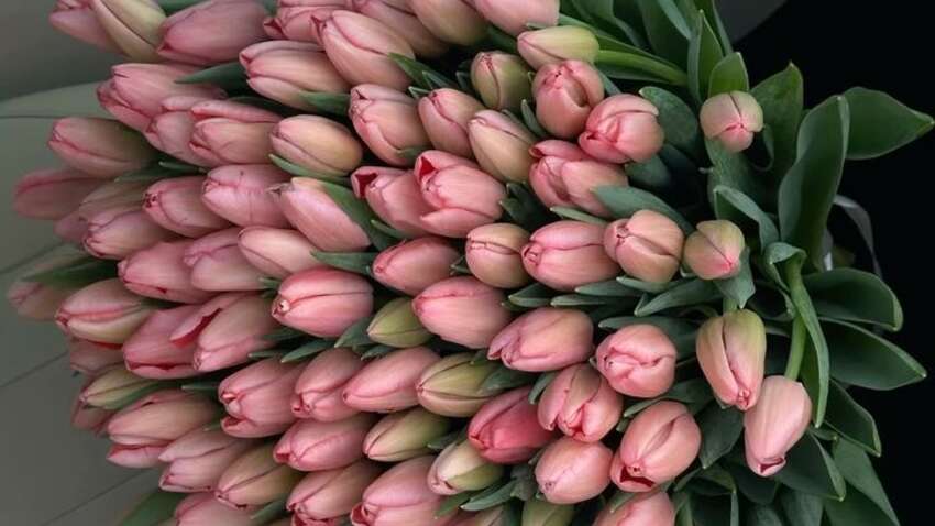 8 березня: традиції свята, народні прикмети та що не варто робити цього дня