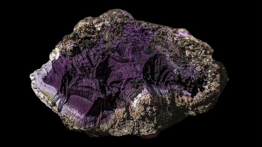 Ці кольори найрідкісніші та найдорожчі у світі