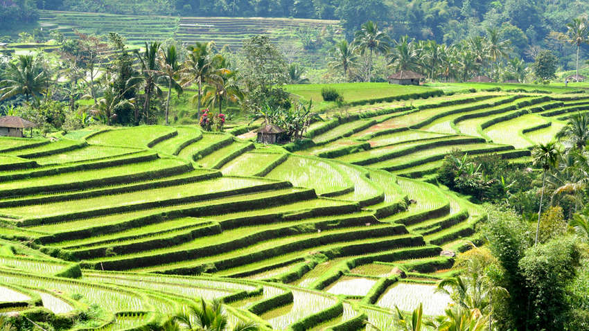 П'ять місць, куди багато туристів не хочуть їхати вдруге