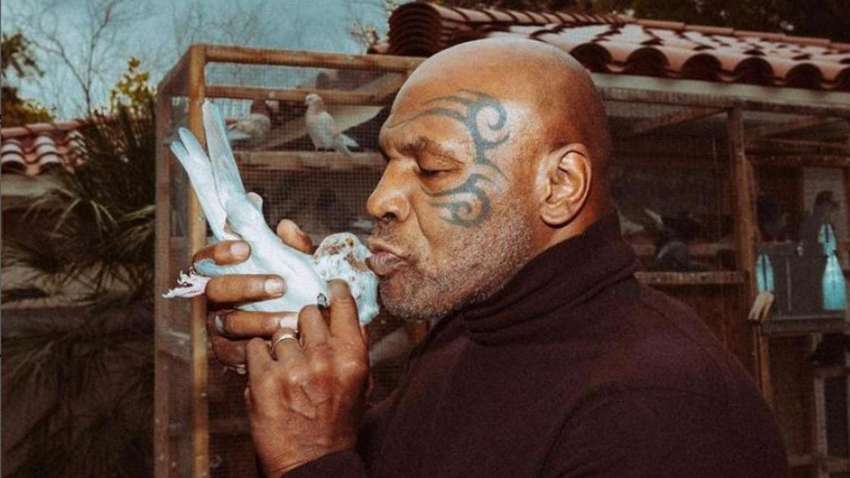 Дивні хобі голлівудських акторів Дивні хобі голлівудських акторів