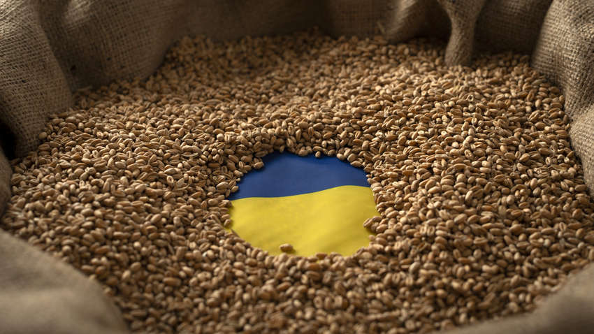 СМИ узнали, на чью сторону встанет Еврокомиссия по запрету агроимпорта из Украины