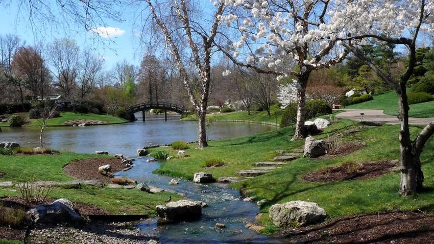 Прогноз погоди на 11 квітня: в Україну увірвалася справжня весна