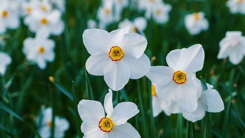 4 квітня 2024 – яке сьогодні свято