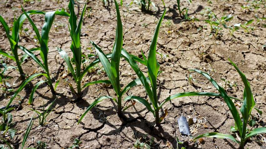 Окупанти перетворюють Крим на пустелю