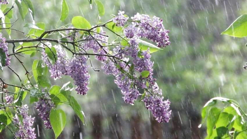 Прогноз погоди для України: коли очікується потепління