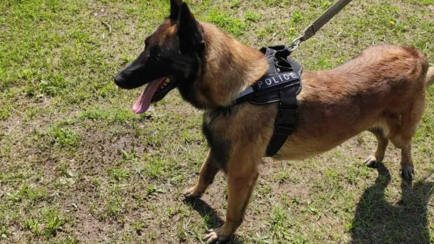 Бес помог церкви вернуть украденное золото