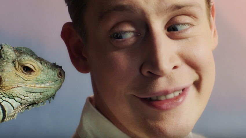 "Каждый день - праздник": звезда "Один дома" снялся в новогодней рекламе