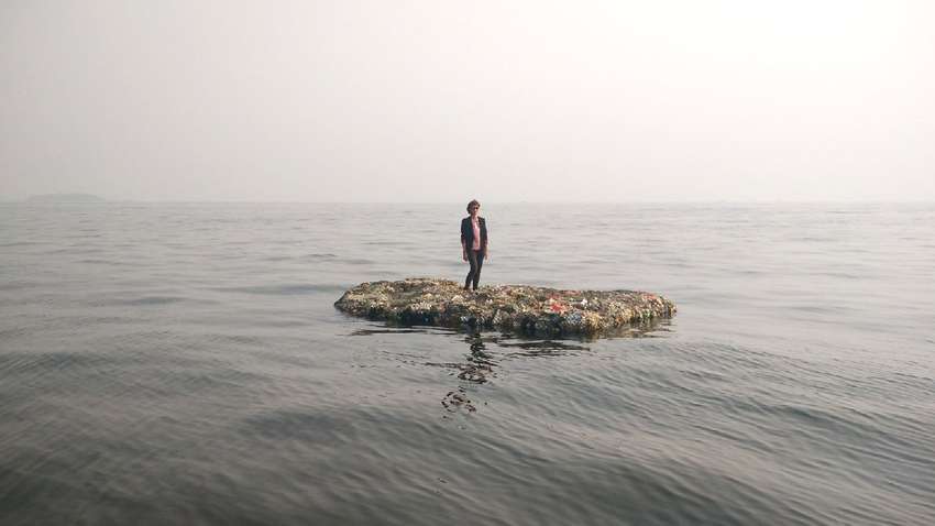 Ученые призвали мировую общественность отказаться питаться мясом и вырубать лес