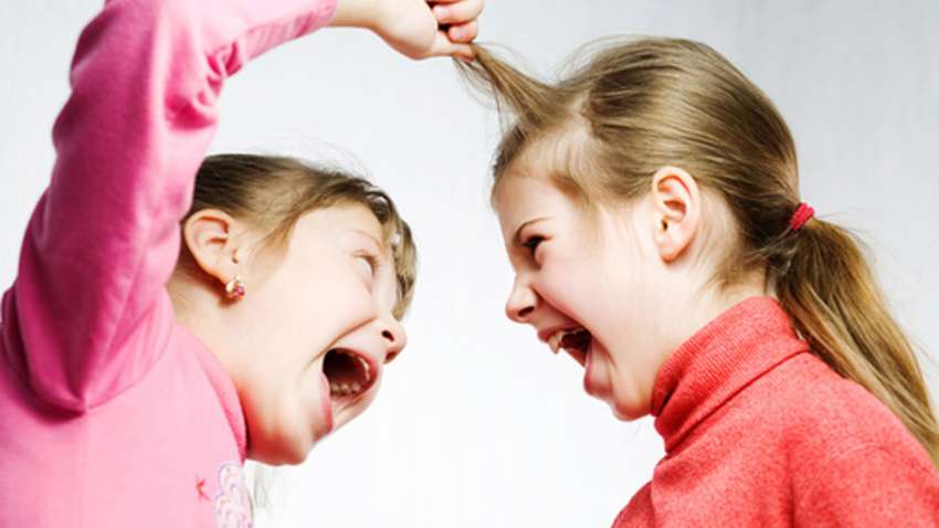 Поведение двухлеток: откуда столько агрессии Поведение двухлеток: откуда столько агрессии