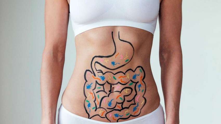 Как нормализовать работу кишечника: найден новый способ