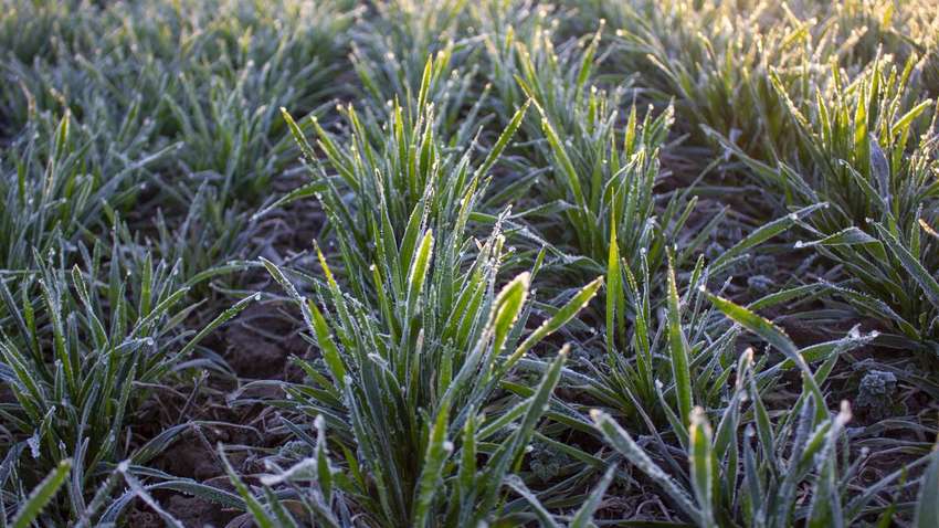 Вторник удивит контрастами: какой будет погода в Украине 19 апреля