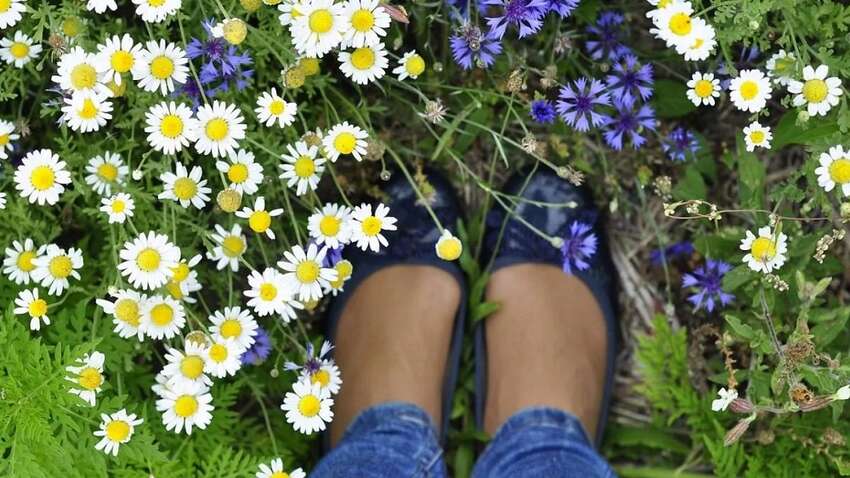 Май принесет поразительные изменения в погоде: синоптики предупредили украинцев Май принесет поразительные изменения в погоде: синоптики предупредили украинцев