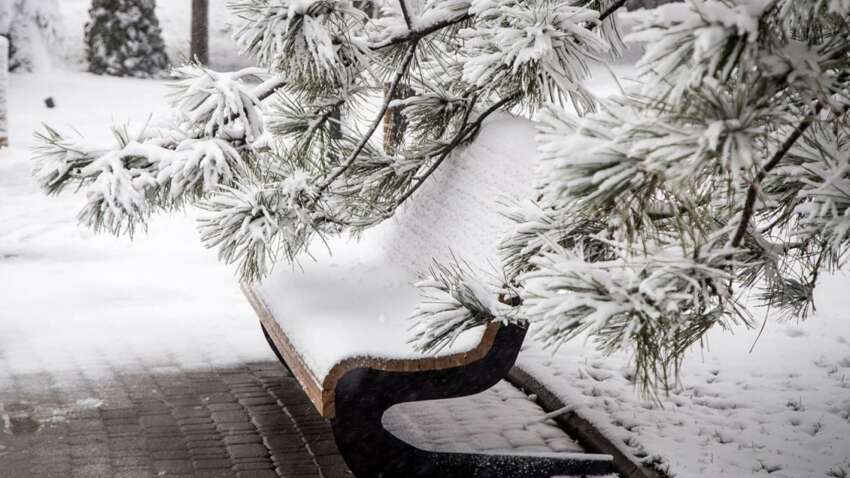 Яке церковне свято 31 січня: з чим краще не мати справи цього дня Яке церковне свято 31 січня: з чим краще не мати справи цього дня
