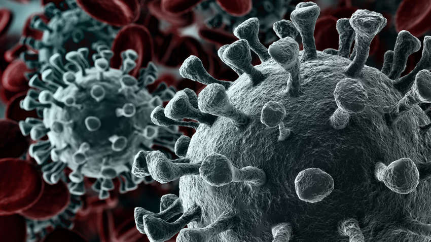 Сегодня «уханьские» украинцы проверятся на коронавирус