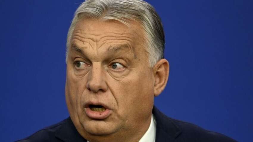 «Ваш успех – это наш успех»: Марко Рубио в Будапеште публично поддержал Виктора Орбана перед выборами