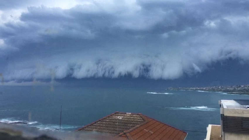 Руйнівний шторм в Австралії і президент - порушник карантину: новини, які ви могли пропустити