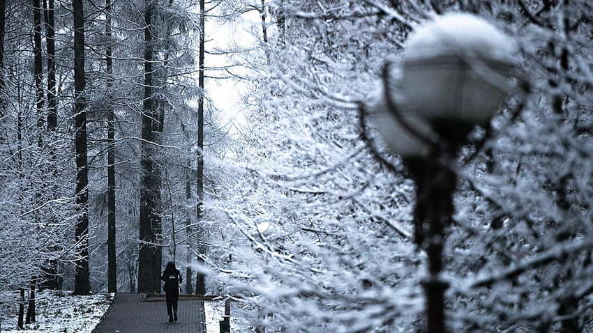 Гороскоп на 8 грудня для кожного знака Зодіаку
