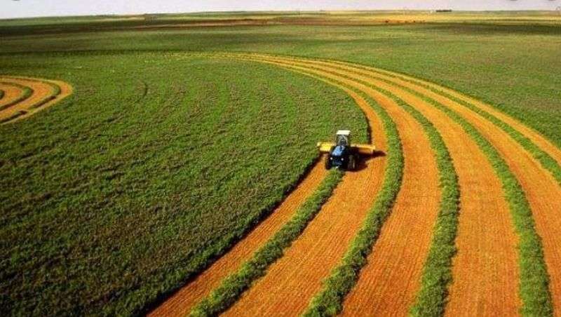 Открытие рынка земли может снизить поддержку общин агрохолдингами — Виктория Нагирняк, МХП