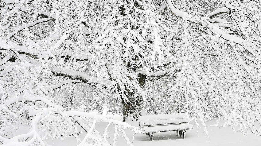 Синоптик озвучила прогноз погоды в Украине на первый день февраля и рассказала, когда придет похолодание 