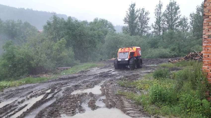 Связаны ли наводнения на Закарпатье с вырубкой лесов: Шмыгаль ответил