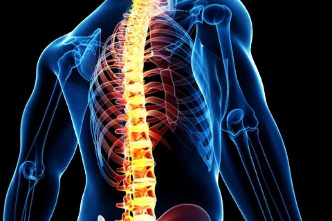В Израиле был создан имплантат, который может помочь ходить парализованным людям