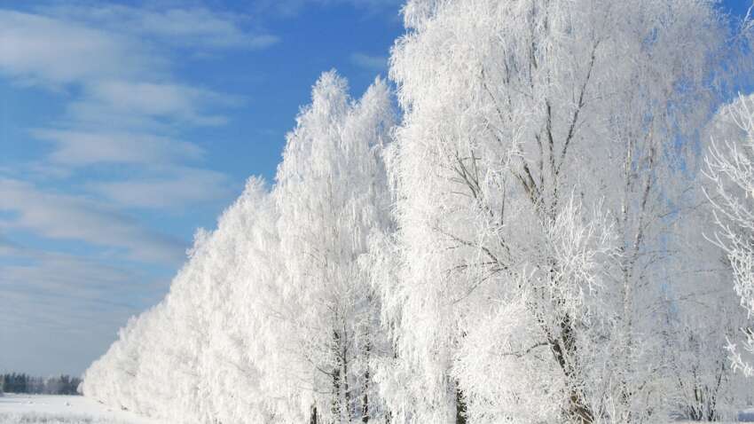 Шокирующий прогноз от синоптика: завтра в Украине еще тепло, но уже готовьтесь к морозному апокалипсису с 31 декабря